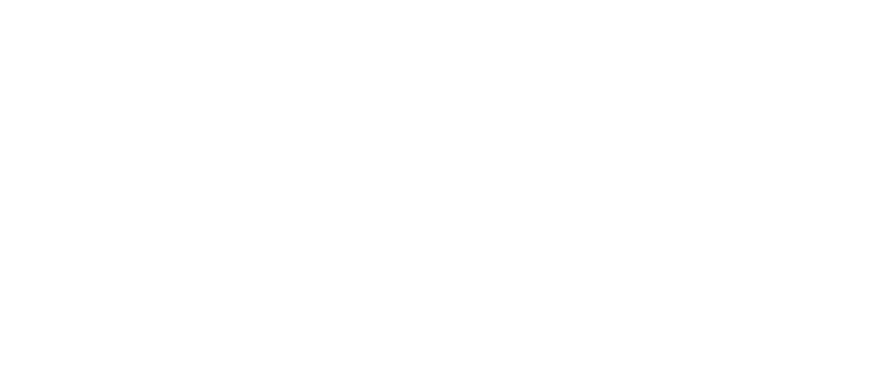 海外云办公 - 海龟伴侣